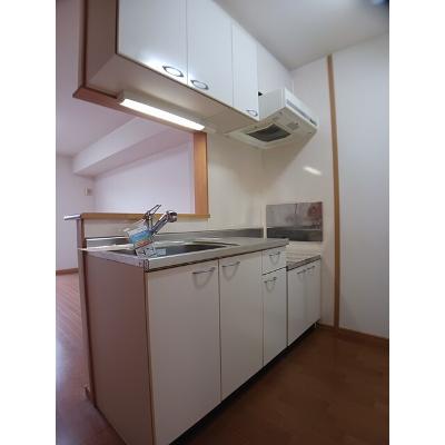 シトラスイン 102【管理NO：1-013467901-01020】 ★家具家電は申し込み後に搬入します★の物件画像