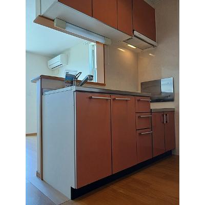 サンリット 203【管理NO：1-013458101-02030】 ★家具家電は申し込み後に搬入しますの物件画像