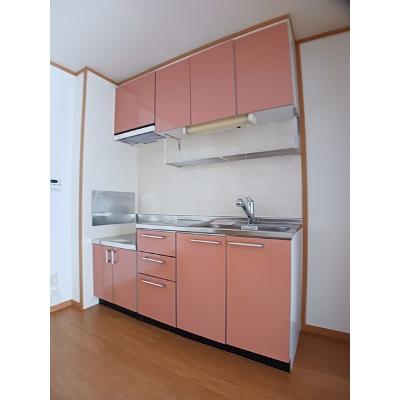ロックガーデン　Ｃ 102【管理NO：1-012635203-01020】 ★家具家電は申し込み後に搬入します★の物件画像