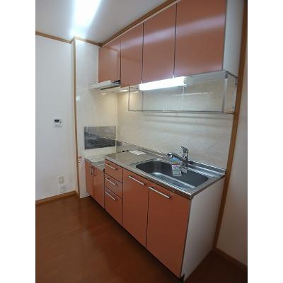 ロックガーデン　Ｃ 101【管理NO：1-012635203-01010】 ★家具家電は申し込み後に搬入します★の物件画像
