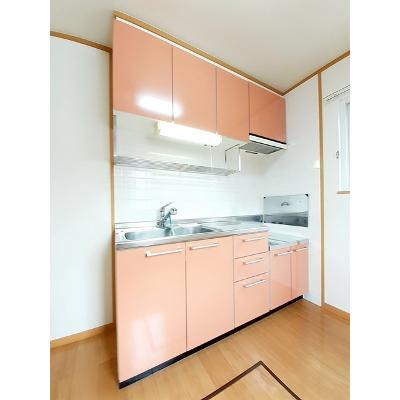 アクテュエルＹ 103【管理NO：1-012435701-01030】 ★家具家電は申し込み後に搬入しますの物件画像