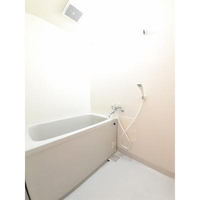 セレッソハイツＣ 102【管理NO：1-007087603-01020】 ★家具家電は申し込み後に搬入します★の物件画像