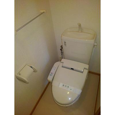 ゴールデン・リリィＤ 203【管理NO：1-015240702-02030】 ★家具家電は申し込み後に搬入しますの物件画像