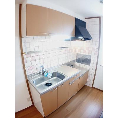 アムロッソ・野市 202【管理NO：1-010766101-02020】 ★家具家電は申し込み後に搬入しますの物件画像