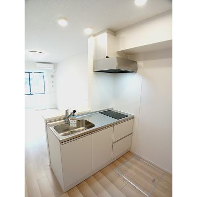 ダンケリーナ 103【管理NO：1-028334901-01030】 ★家具家電は申し込み後に搬入しますの物件画像
