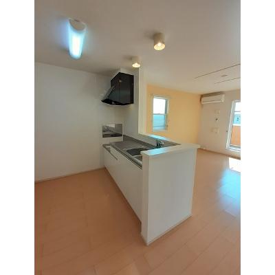 サウスエイト 202【管理NO：1-019917201-02020】 ★家具家電は申し込み後に搬入しますの物件画像