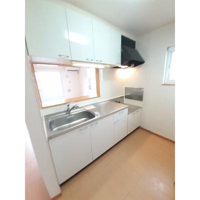 ＲｉｖｅｒＳｉｄｅ東祥Ｂ 205【管理NO：1-014458802-02040】 ★家具家電は申し込み後に搬入します★の物件画像