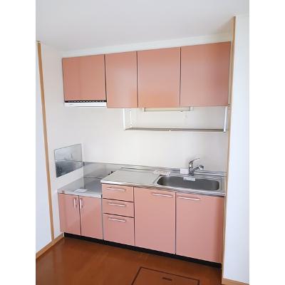 ガーデン彦崎 105【管理NO：1-013681301-01040】 ★家具家電は申し込み後に搬入しますの物件画像