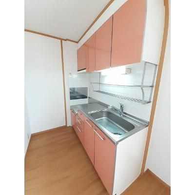 カーサ　Ｃ 203【管理NO：1-012405803-02030】 ★家具家電は申し込み後に搬入します★の物件画像