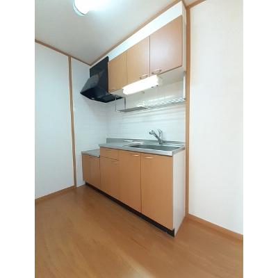 メニーリブ 201【管理NO：1-011759501-02010】 ★家具家電は申し込み後に搬入します★の物件画像