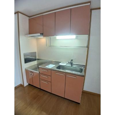 ビッグベア－　Ａ 106【管理NO：1-012835601-01050】 ★家具家電は申し込み後に搬入しますの物件画像