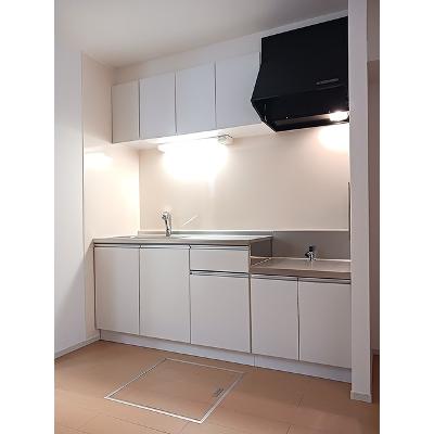 アフィニティⅠ 102【管理NO：1-020043101-01020】 ★家具家電は申し込み後に搬入しますの物件画像