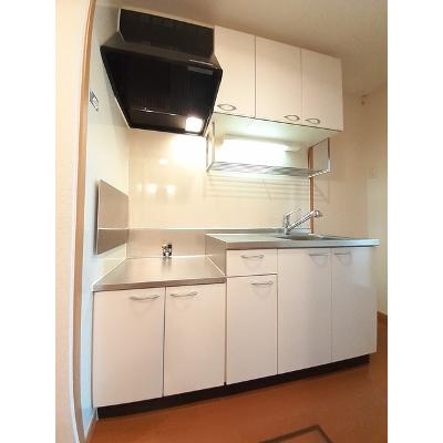 グリーンスプリングス　Ｂ 102【管理NO：1-014707401-01020】 ★家具家電は申し込み後に搬入しますの物件画像