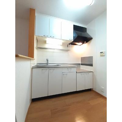 ウエストファーム　カタカミ 203【管理NO：1-013898101-02030】 ★家具家電は申し込み後に搬入しますの物件画像