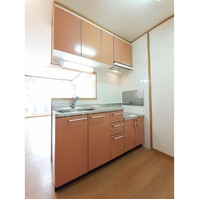 セレッソ 103【管理NO：1-012826001-01030】 ★家具家電は申し込み後に搬入しますの物件画像
