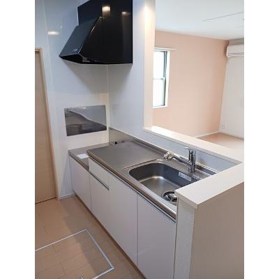 プリムラ 105【管理NO：1-019173001-01040】 ★家具家電は申し込み後に搬入します★の物件画像
