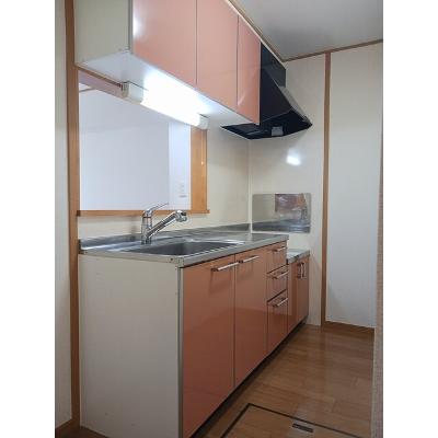 スマイリー乙多見 103【管理NO：1-013322701-01030】 ★家具家電は申し込み後に搬入しますの物件画像