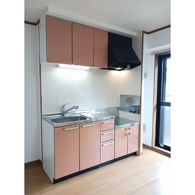 スカイマンション 102【管理NO：1-013127801-01020】 ★家具家電は申し込み後に搬入しますの物件画像