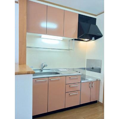 カーサ金岡 201【管理NO：1-012763401-02010】 ★家具家電は申し込み後に搬入します★の物件画像