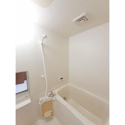 カルティエ・シャルマン 205【管理NO：1-010559601-02040】 ★家具家電は申し込み後に搬入しますの物件画像