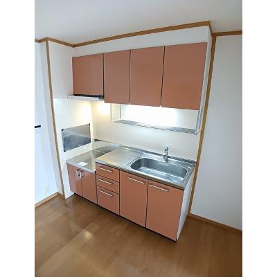 セレッソⅢ 105【管理NO：1-012776901-01040】 ★家具家電は申し込み後に搬入しますの物件画像
