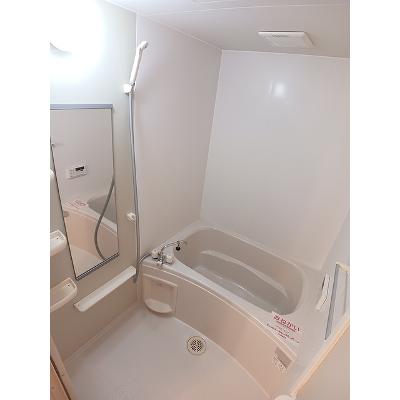 ニューマロンテールＢ 202【管理NO：1-012240002-02020】 ★家具家電は申し込み後に搬入します★の物件画像