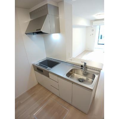 ディリジェントナイン 102【管理NO：1-028090901-01020】 ★家具家電は申し込み後に搬入しますの物件画像
