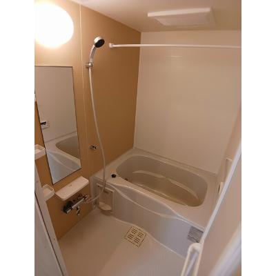 トゥールビヨン 203【管理NO：1-023011801-02030】 ★家具家電は申し込み後に搬入しますの物件画像