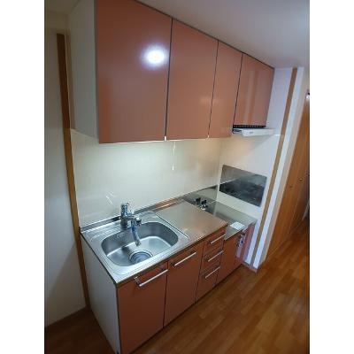 サニーレジデンス　ＹＫ 308【管理NO：1-013465801-03070】 ★家具家電は申し込み後に搬入しますの物件画像