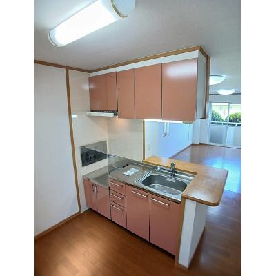 ニルヴァーナ　ビエンネ 105【管理NO：1-013355002-01040】 ★家具家電は申し込み後に搬入しますの物件画像
