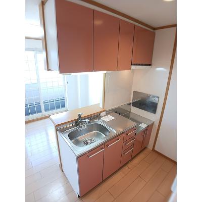 ニルヴァーナ　ウーノ 202【管理NO：1-013355001-02020】 ★家具家電は申し込み後に搬入しますの物件画像