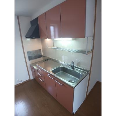 シェーン・バッハ 201【管理NO：1-012993001-02010】 ★家具家電は申し込み後に搬入しますの物件画像