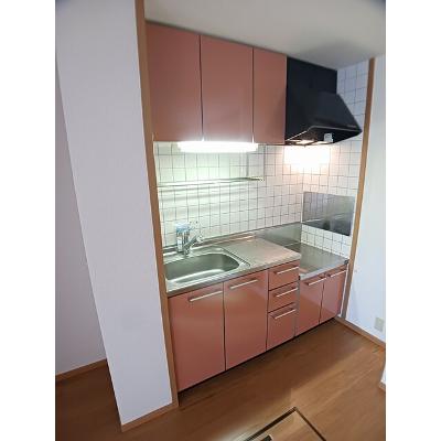 アルエット・シエル 102【管理NO：1-012536101-01020】 ★家具家電は申し込み後に搬入しますの物件画像
