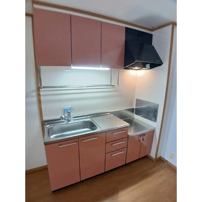 グレースコートⅣ 101【管理NO：1-013257101-01010】 ★家具家電は申し込み後に搬入しますの物件画像