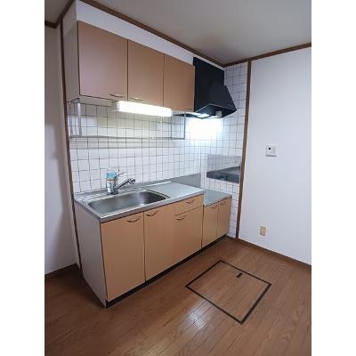 セレブレイトⅡ 101【管理NO：1-011792302-01010】 ★家具家電は申し込み後に搬入します★の物件画像