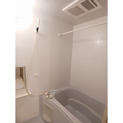 セレブレイトⅡ 101【管理NO：1-011792302-01010】 ★家具家電は申し込み後に搬入します★の物件画像