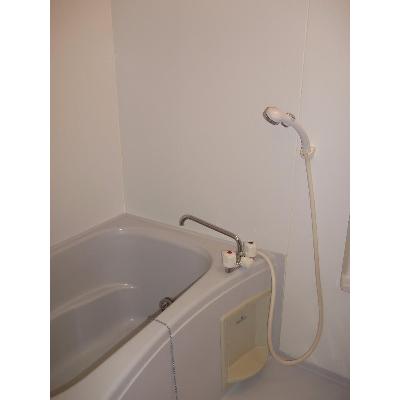セイ・フィオ－レ 203【管理NO：1-010756801-02030】 ★家具家電は申し込み後に搬入しますの物件画像