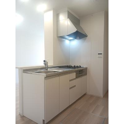 レスポアール 103【管理NO：1-027599301-01030】 ★家具家電は申し込み後に搬入しますの物件画像