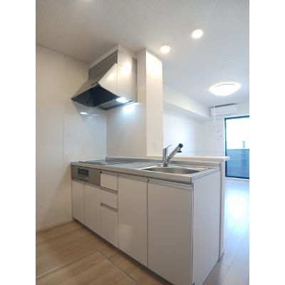 ドリームサイド光Ⅴ 103【管理NO：1-024652501-01030】 ★家具家電は申し込み後に搬入します★の物件画像