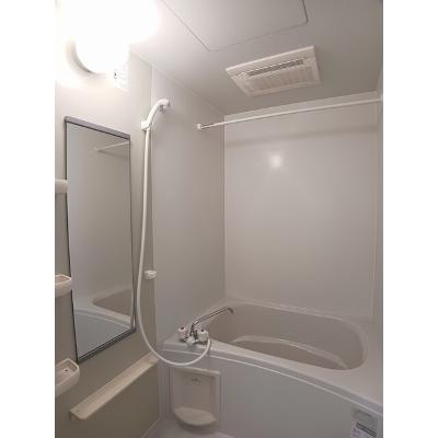 アヴァンシアＭ 205【管理NO：1-012362001-02040】 ★家具家電は申し込み後に搬入します★の物件画像