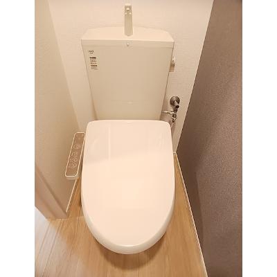 カリダドムス　α 202【管理NO：1-028411301-02020】 ★家具家電は申し込み後に搬入します★の物件画像