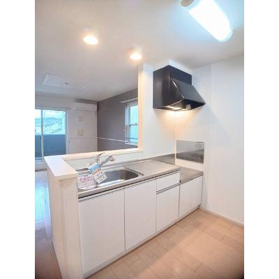 グランディール 201【管理NO：1-019136701-02010】 ★家具家電は申し込み後に搬入しますの物件画像