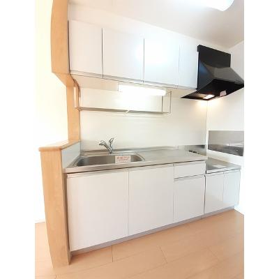 シャルマンフルール 203【管理NO：1-017397001-02030】 ★家具家電は申し込み後に搬入します★の物件画像