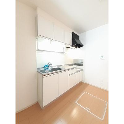 アウローラ 102【管理NO：1-017168101-01020】 ★家具家電は申し込み後に搬入します★の物件画像