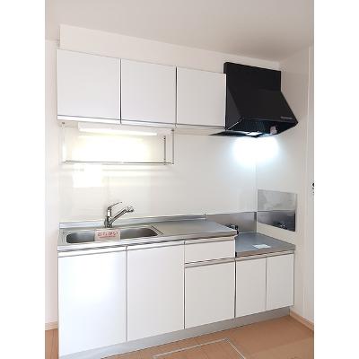 ラルジュグリーンＦ 102【管理NO：1-017015302-01020】 ★家具家電は申し込み後に搬入します★の物件画像