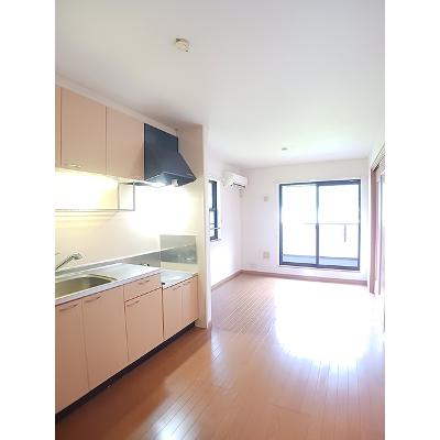 ライトホームズ 201【管理NO：1-014225201-02010】 ★家具家電は申し込み後に搬入します★の物件画像