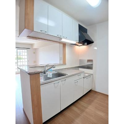 Ｍａｉ　Ｄｅａ 103【管理NO：1-013931701-01030】 ★家具家電は申し込み後に搬入します★の物件画像