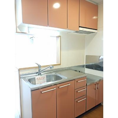 ピアコートⅡ 102【管理NO：1-013598702-01020】 ★家具家電は申し込み後に搬入します★の物件画像