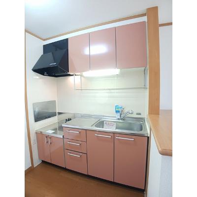 サンリット　パレスＡ 203【管理NO：1-012862101-02030】 ★家具家電は申し込み後に搬入します★の物件画像
