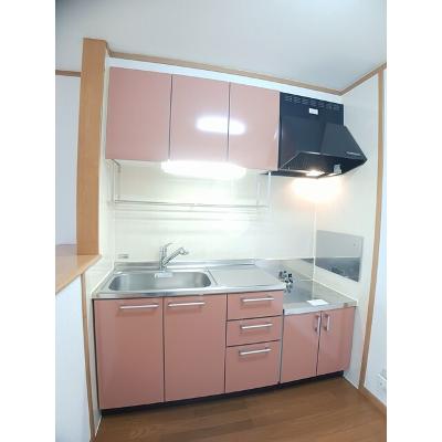 サンリット　パレスＡ 201【管理NO：1-012862101-02010】 ★家具家電は申し込み後に搬入します★の物件画像